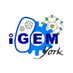 iGEM york (@igemyork) Twitter profile photo iGEM york (@igemyork) Twitter profile photo