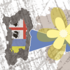 insardinia_ru's profile picture. 