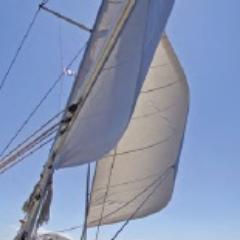 TIPH83ST's profile picture. #nautisme #plaisance #maritime #mer #attractivité #territoire #ports #finistère