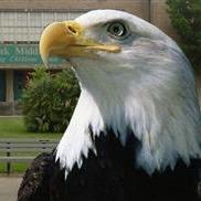 HISD-Burbank MS (@burbank_ms) 's Twitter Profile