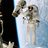 Rava_Mahesa's profile image