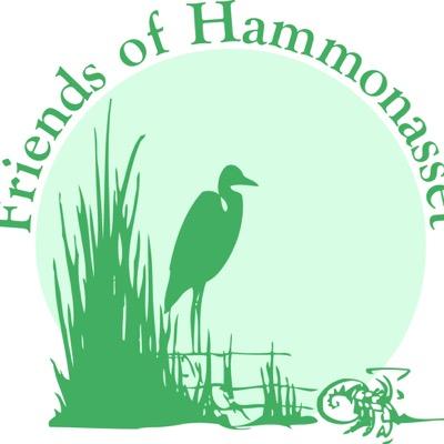 FOHammonasset's profile picture. Hammonasset: Birding, Beach, Nature, Native Americans, Fishing, Camping, FoH events.