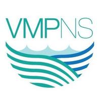 VMPNS (@vmpns) 's Twitter Profile