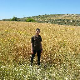 yaqeens2000's profile picture. 