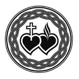 visaco_limitada's profile picture. 