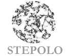 Web Consulting Firm