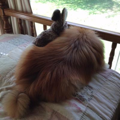 Mrtrick80's profile picture. 