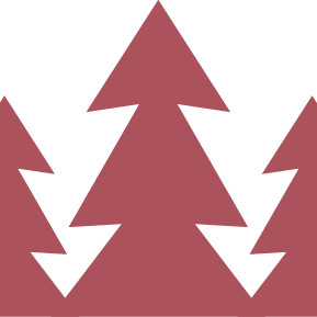 SmallPinePro's profile picture. we tell stories for small businesses and nonprofits. video for the little guy