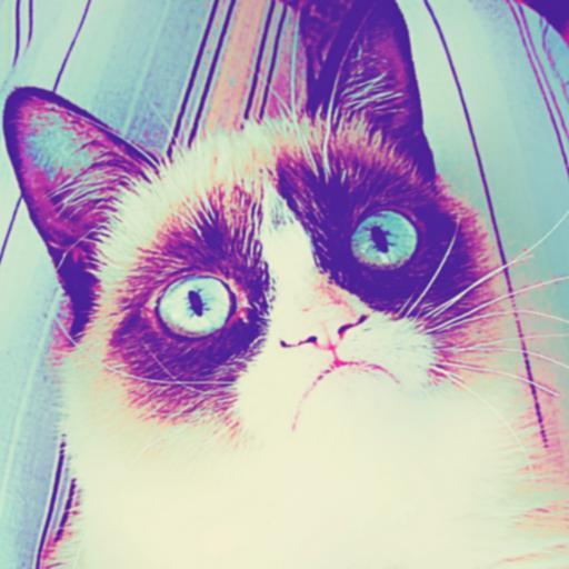 Chronles's profile picture. Auch bei Twitter :D