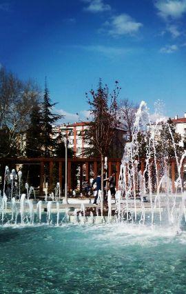 smyy_sltn's profile picture. Moleküler biyoloji ve genetik
tibbi biyoloji erciyes