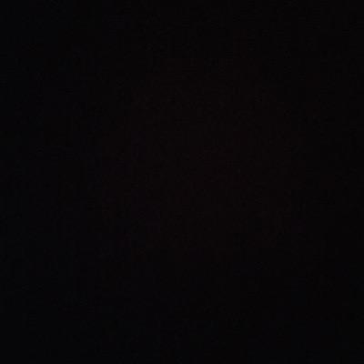 dodee236 Profile Picture