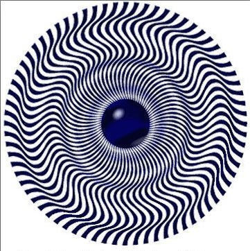 brookefarrell76's profile picture. Sponsorship at 3STEP Sports