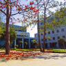 IGIBSocial's profile picture. CSIR-Institute of Genomics & Integrative Biology (IGIB) is a premier Institute engaged in research area of genomics, molecular medicine, bioinformatics etc