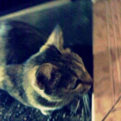 成人済20↑。社会人です。公式B済。読書メーターやってます。夢も好きです。もしお仲間さんいたらそちらでもどうぞよろしゅうに( *・ω・)*_ _)) あとおもむくままに写真を撮るのも好きです。最近は、お料理も増えました。 #琴線に触れた言葉 #ファインダー越しの私の世界 #読みたい本集めました
