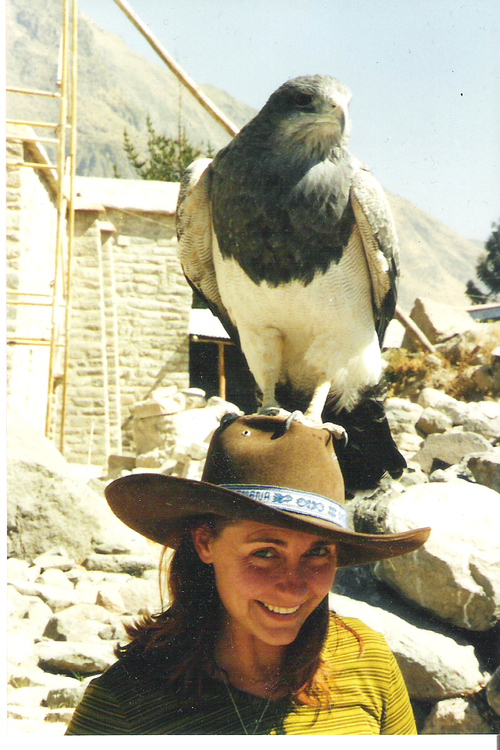 stedders69's profile picture. Drama teacher, actress, writer. In that order. Currently trying to reverse this...