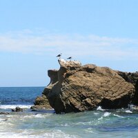 Greg Scroggins (@gforcesolutions) 's Twitter Profile