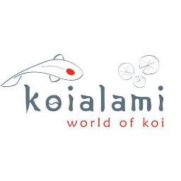 For best quality, price, advice & for the best #koi experience in #Johannesburg #Kyalami #aquaponics #aquaculture