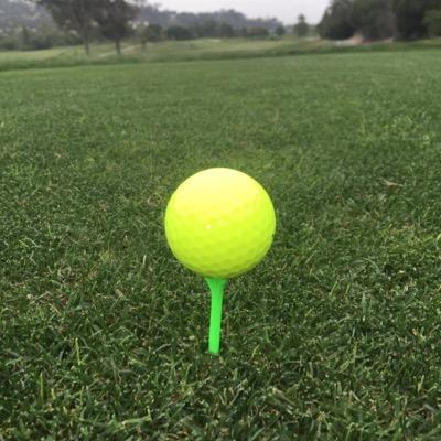 PawlPawka's profile picture. 