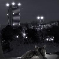 Axeyard (@axeyard) 's Twitter Profile