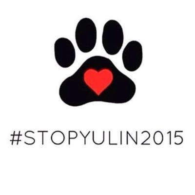 shahrukhsayed4's profile picture. 21|| Mumbaikar|| Event Management|| Libran|| Foodie|| Love to travel|| Supreme bitch|| BBM:7F57892A|| Snapchat: vsf_lover