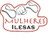 Mulheres iIesas