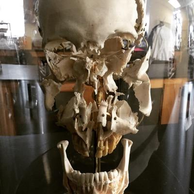 Matt Profile