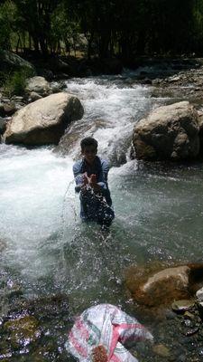 ghaforzai's profile picture. honesty is the best policy