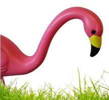 http://t.co/clPWbpCJ0T Pink Plastic Lawn Flamingos - Factory Direct