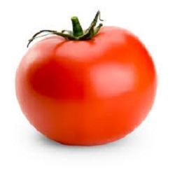4EverTomato's profile picture. 