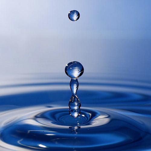 drupaldevhub's profile picture. Drupalista