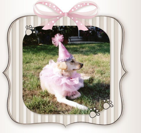 MandysMudroom's profile picture. Mandy's Mudroom specializes in poof poofs & other doggie delights.