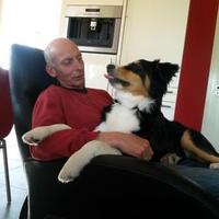 Jaap Vos (@langepacht) 's Twitter Profile Photo