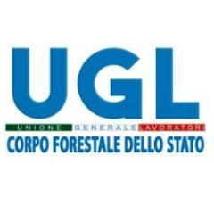 UGL_CFS's profile picture. L'UGL Corpo Forestale dello Stato è una delle organizzazioni maggiormente rappresentative nel panorama sindacale del Corpo Forestale dello Stato.