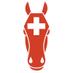 REV Equine First Aid (@equine1staid) Twitter profile photo