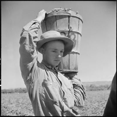 Food4JS's profile picture. Agriculture Groupie, Food Agnostic