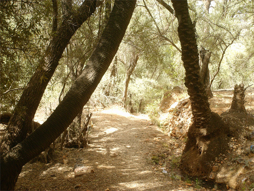 ysfLahssini's profile picture. 