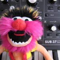 KWHCoaster (@kwhcoaster) 's Twitter Profile Photo