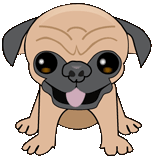 hugsforpugs's profile picture. 4 year old pug with a website and an attitude.  Follow me & visit my site.