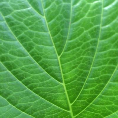 音楽に本・花と緑があれば幸せです♪子供に関する事や福祉・言葉に関心を持っています。人見知りですが好奇心旺盛です☆