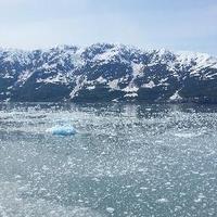 C Yang (@hellomsyang) 's Twitter Profile Photo