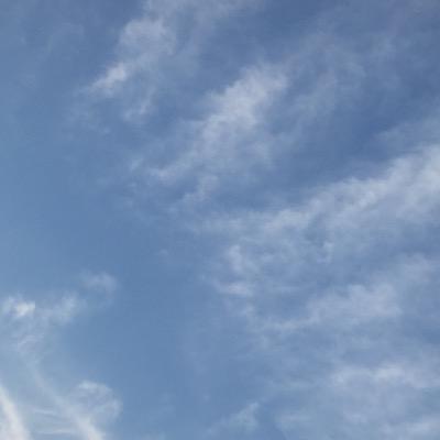 陽樒さんのプロフィール画像