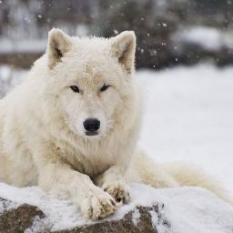 webasto2007's profile picture. 