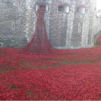 maluti_evs's profile picture. 