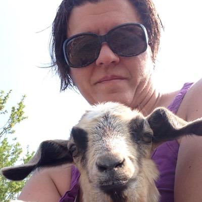 majorcatwoman's profile picture. mom, farmers wife, jack of all trades.  living the country life with my family.  we love our cows, goats, dogs & cats.  small town saskatchewan