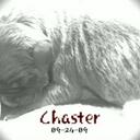 sandra sorto - @meme112704 - Twitter