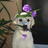 MiamiChauncey's profile image