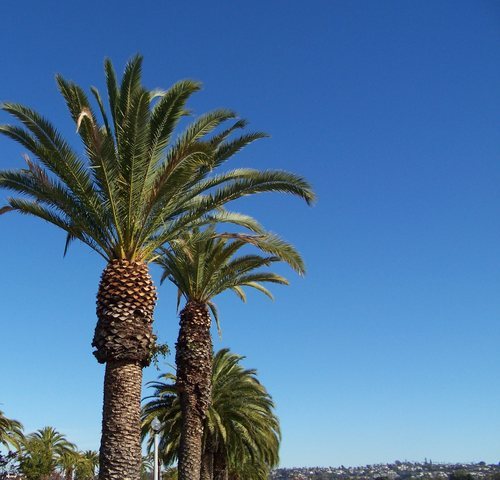 vcautism's profile picture. Sharing autism news, events and information.  Complete online directory of autism services in Ventura County