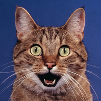 Adam Montoya (@seananners) 's Twitter Profile
