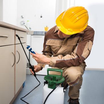 SanPedroPest's profile picture. Contact us today to learn why many people choose Top Quality Pest Control of San Pedro. You will find our staff professional and easy to work with.