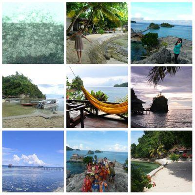 customer service, traveller..
i sell tour to all pict above just pay U$ 105 per a person include meals,cottage.tour guide.transport.
inbox me if you interested